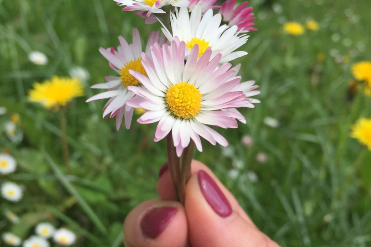 BLUEMOON NAILSTUDIO ZÜRICH - NADIA MAZZOTTA